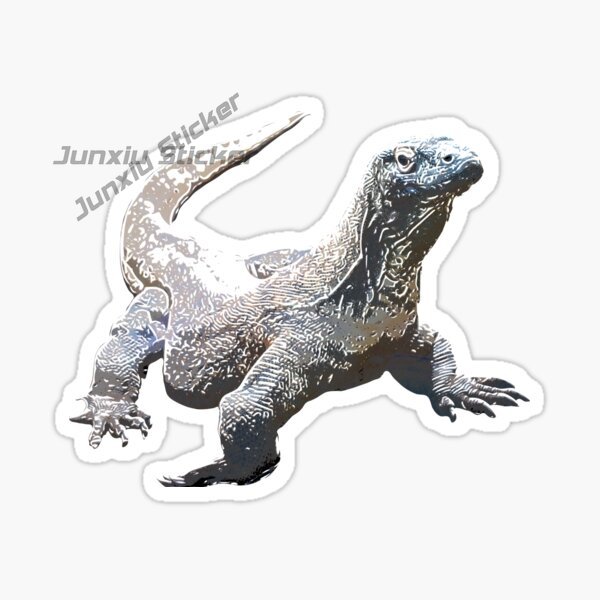 Komodo National Park Komodo Is - Car Accessories Bali review and price