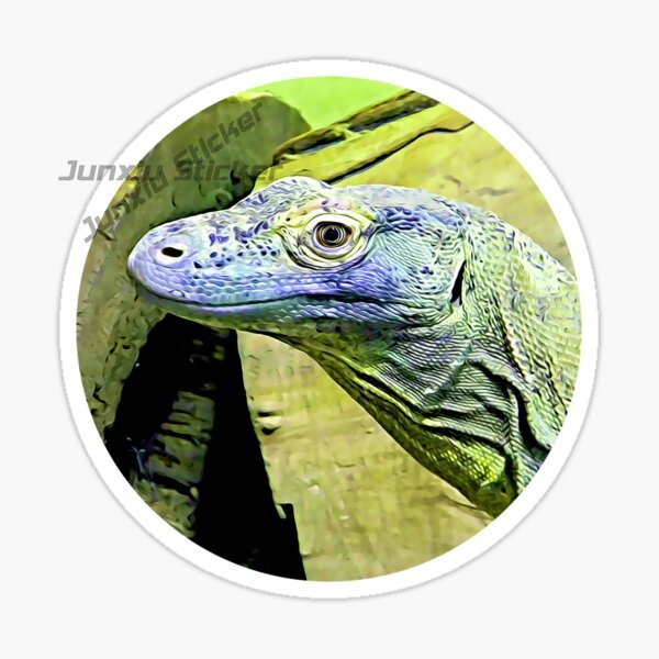 Komodo National Park Komodo Is - Car Accessories Bali review and price