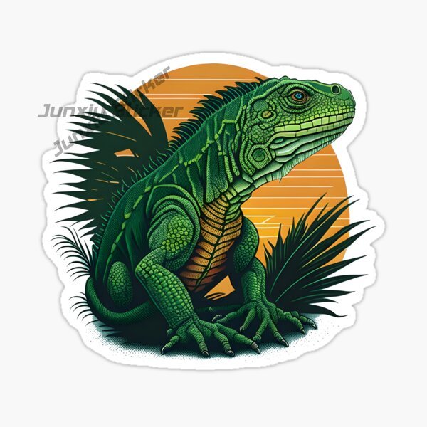 Komodo National Park Komodo Is - Car Accessories Bali review and price